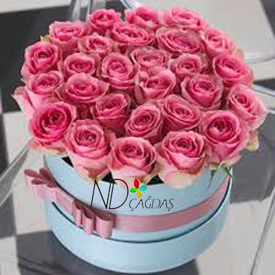 Kutuda Pembe Güller